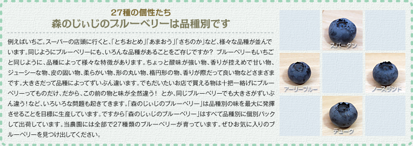 品種別の出荷にこだわっています