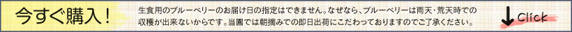 ご注文はこちらから承ります